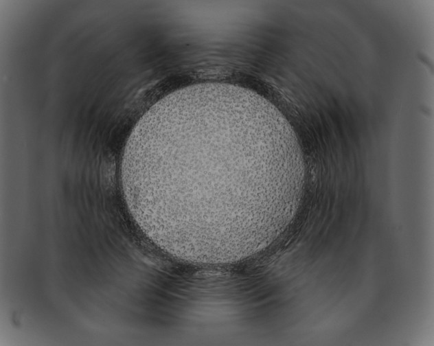 X0000091370745200709071326