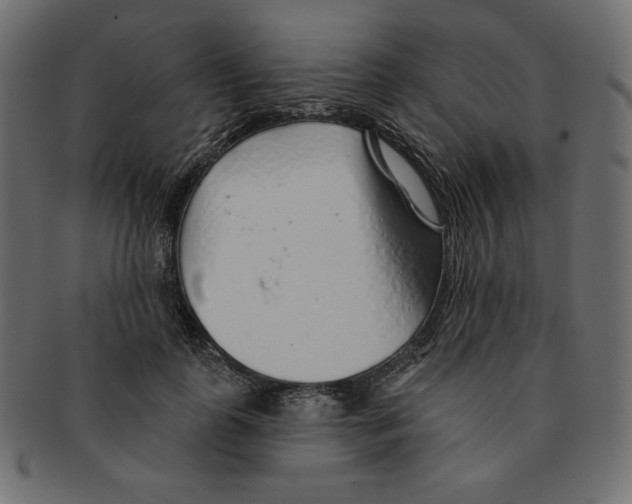 X0000091370747200709071326