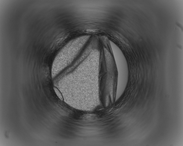 X0000091370748200709071326