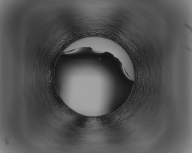 X0000091370750200709071326