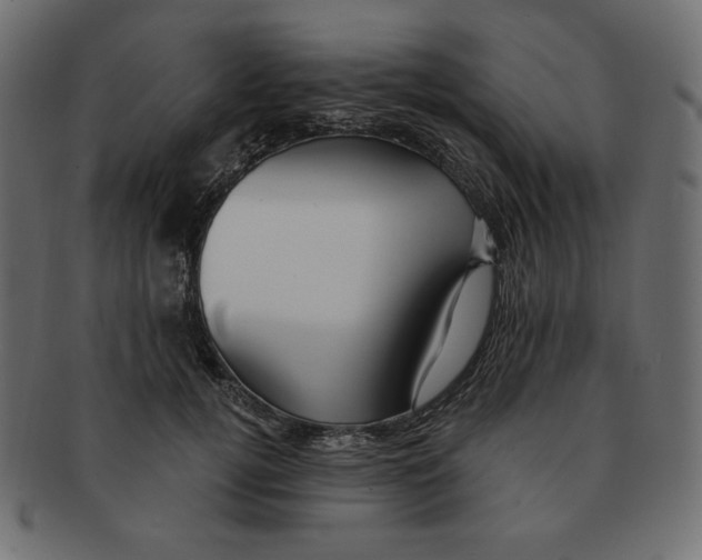 X0000091370752200709071326