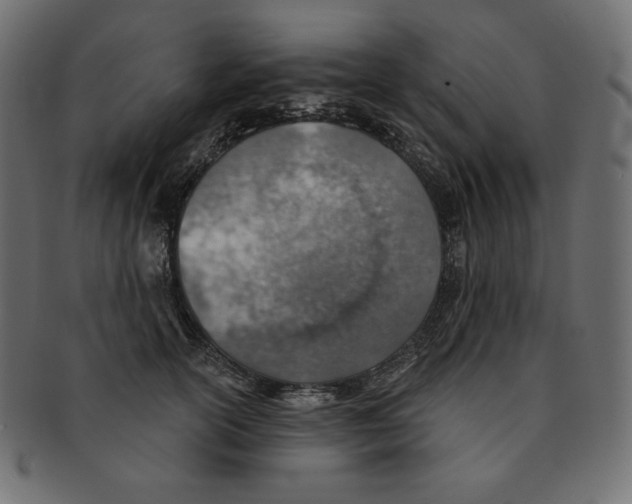 X0000091370754200709071326