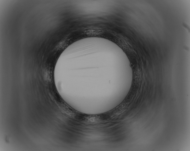 X0000091370755200709071326