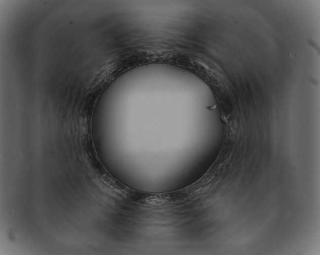 X0000091370756200709071326