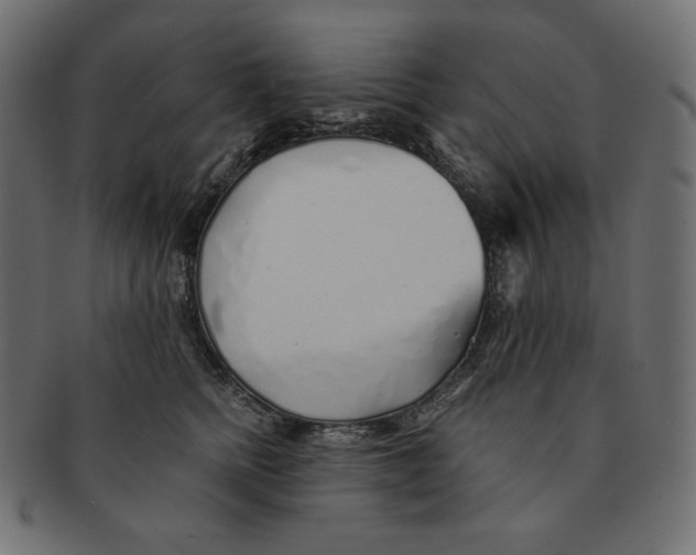 X0000091370758200709071326