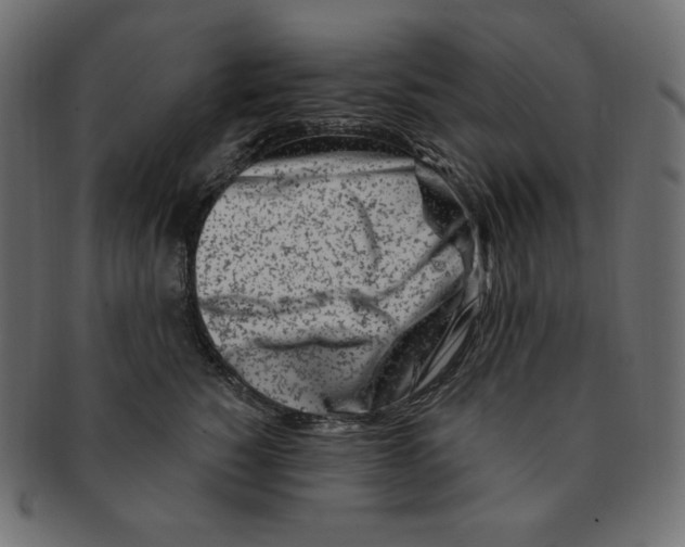 X0000091370760200709071326