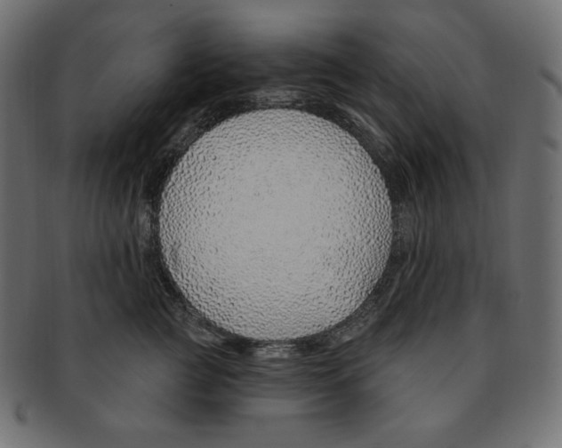 X0000091370761200709071326