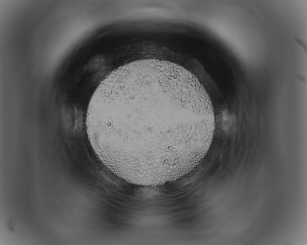 X0000091370765200709071326