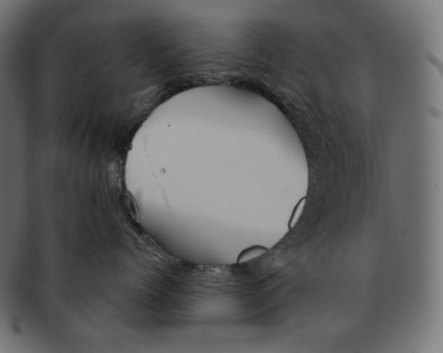 X0000091370768200709071326