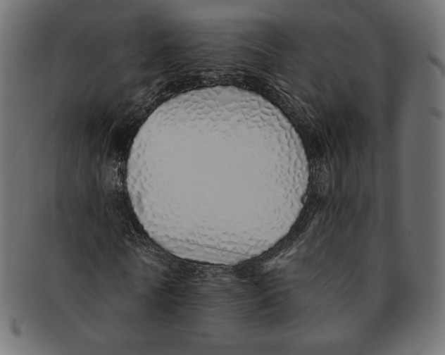 X0000091370770200709071325