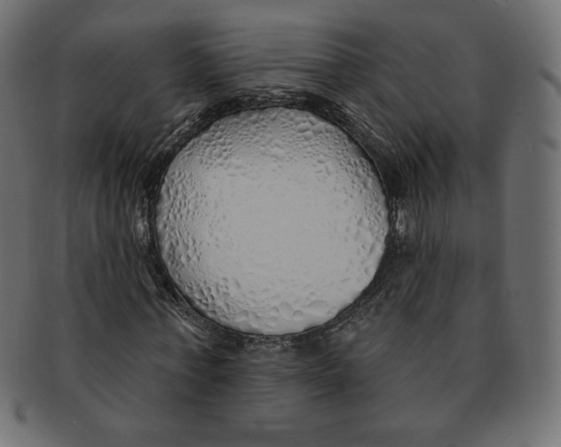 X0000091370771200709071325