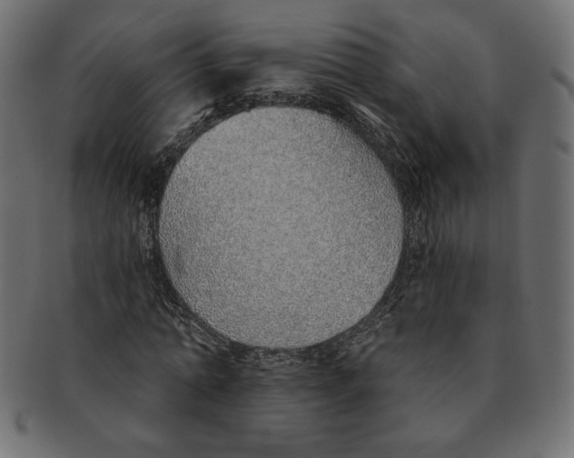 X0000091370774200709071325