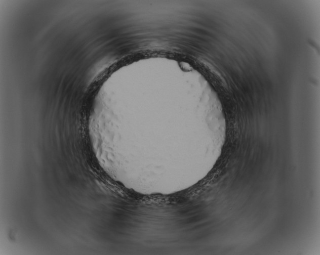 X0000091370775200709071325