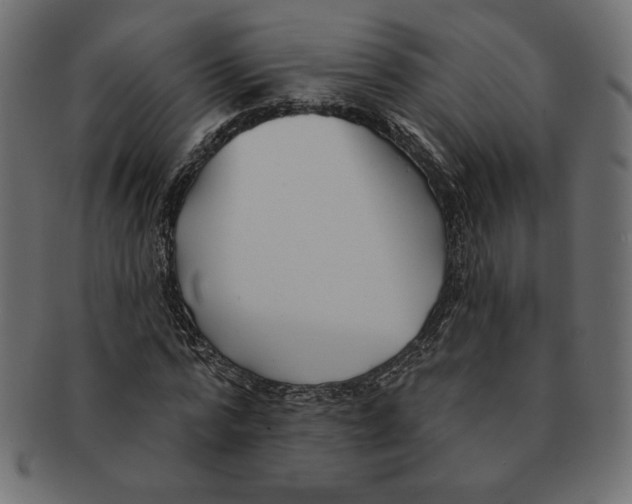 X0000091370776200709071325