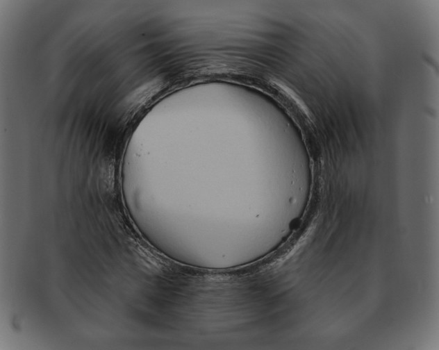 X0000091370777200709071325