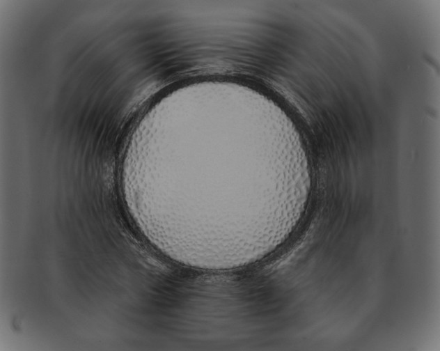 X0000091370778200709071325