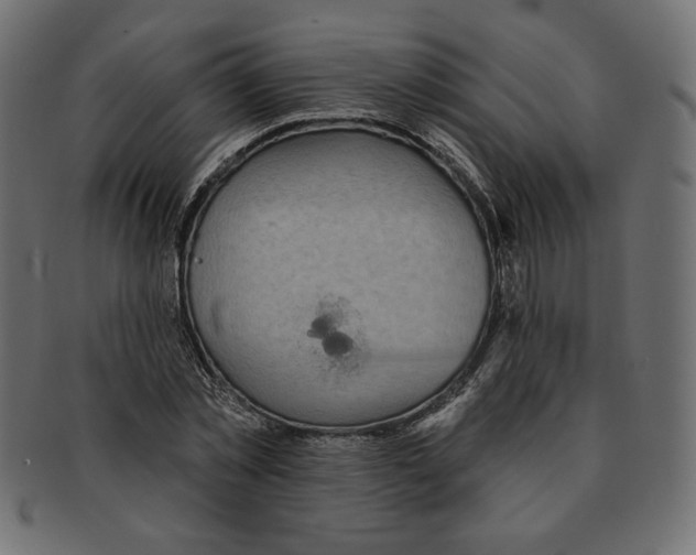 X0000091370781200709071325