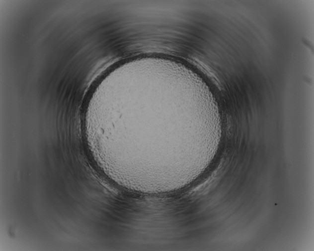 X0000091370782200709071325