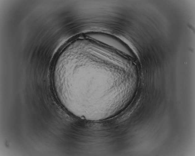 X0000091370783200709071325