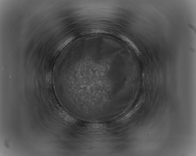 X0000091370785200709071325