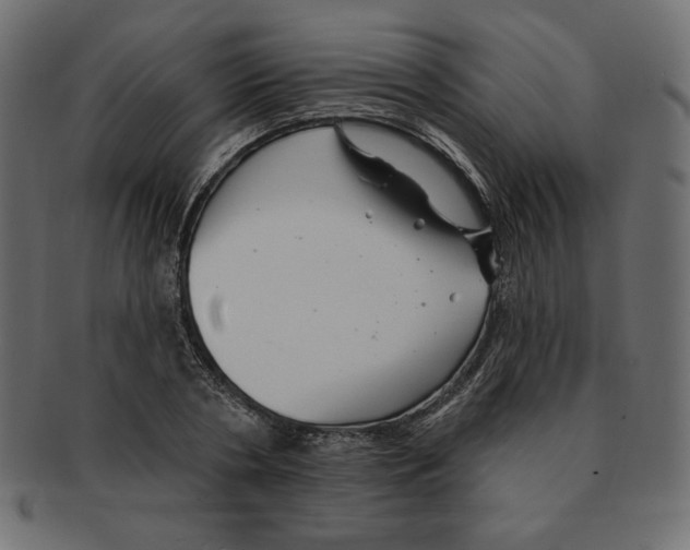 X0000091370786200709071325