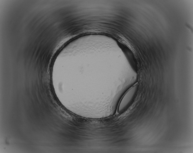 X0000091370787200709071325