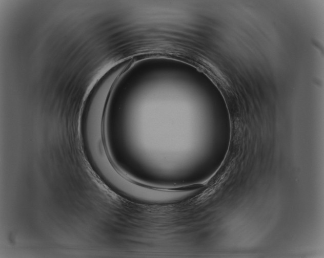 X0000091370788200709071325