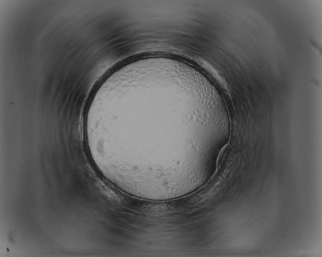 X0000091370791200709071325