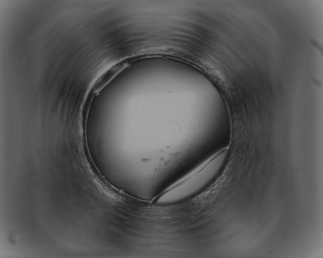 X0000091370792200709071325