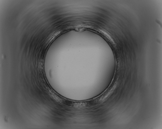 X0000091370793200709071325