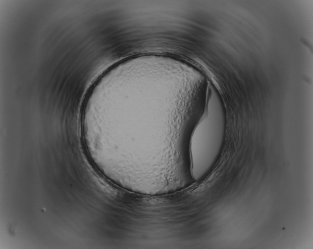 X0000091370795200709071325