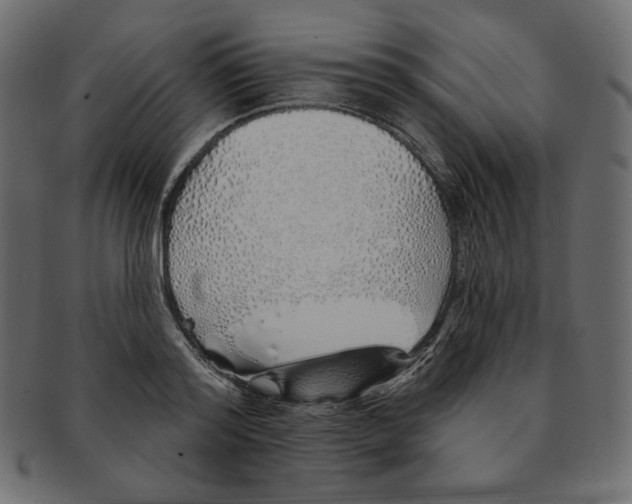 X0000091370796200709071325