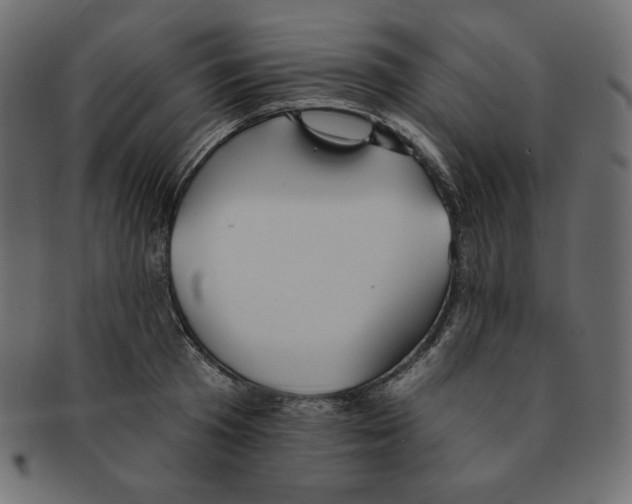 X0000091370801200709071325