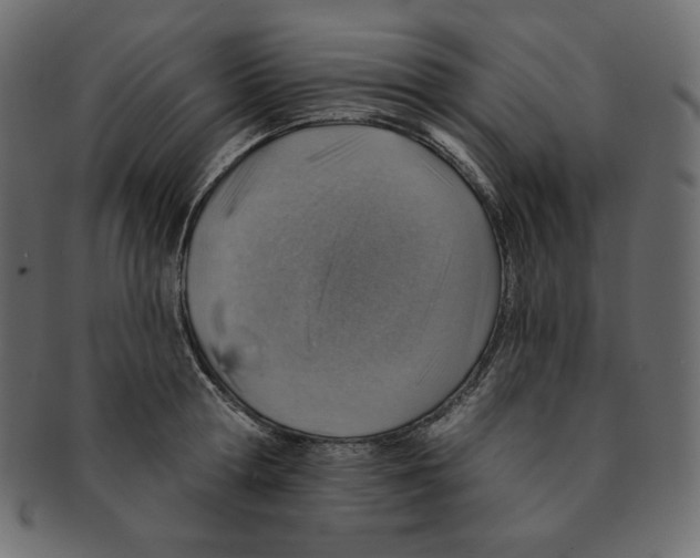 X0000091370802200709071325