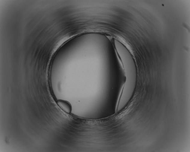 X0000091370803200709071325