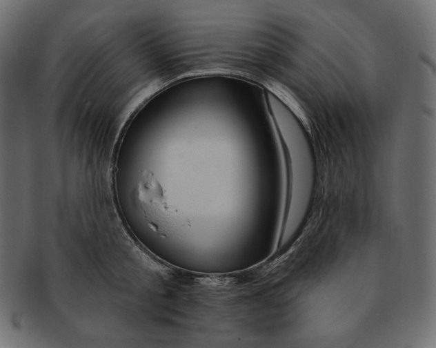 X0000091370805200709071325