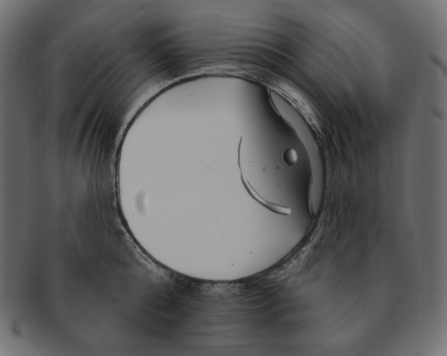 X0000091370808200709071325