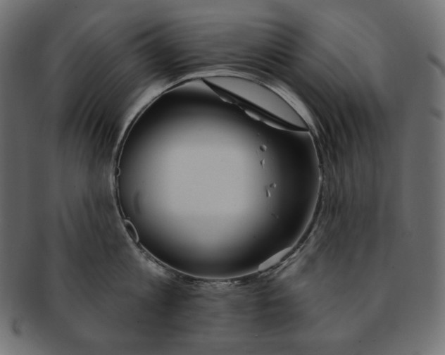 X0000091370813200709071325