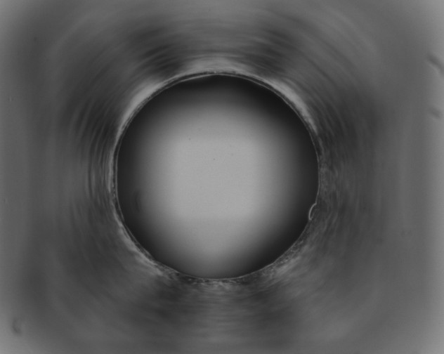 X0000091370815200709071325