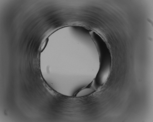 X0000091370816200709071325