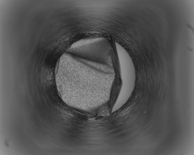 X0000091370818200709071324