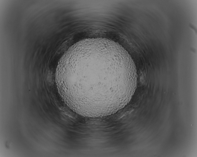 X0000091370819200709071324