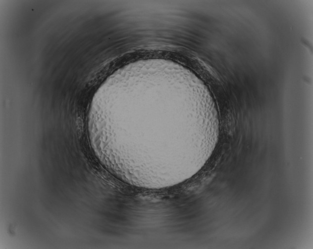 X0000091370821200709071324