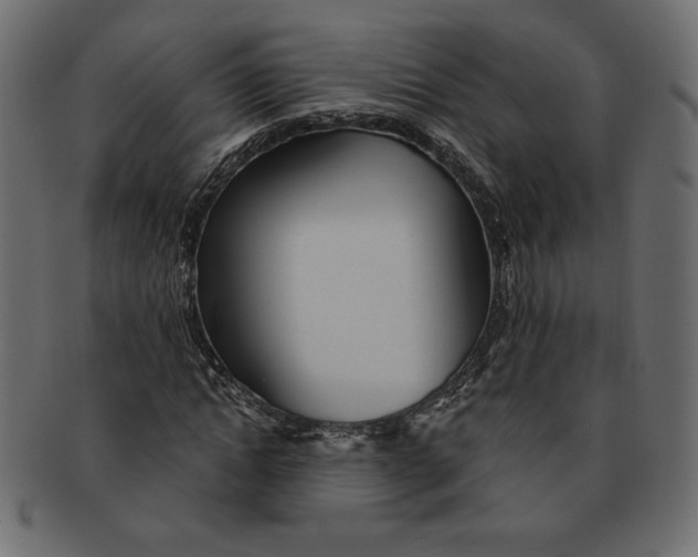 X0000091370822200709071324