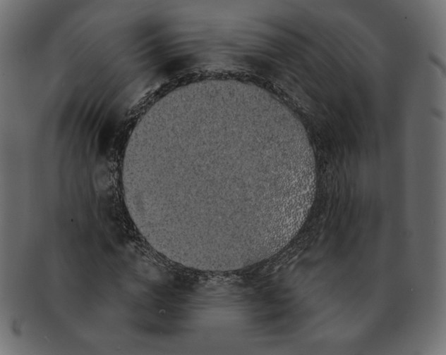 X0000091370824200709071324