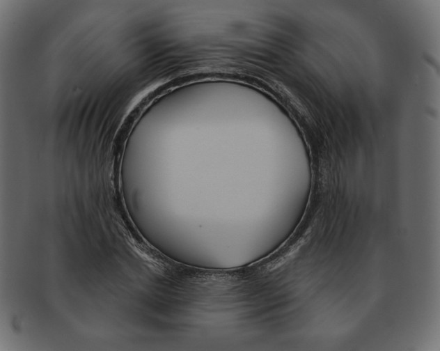 X0000091370830200709071324