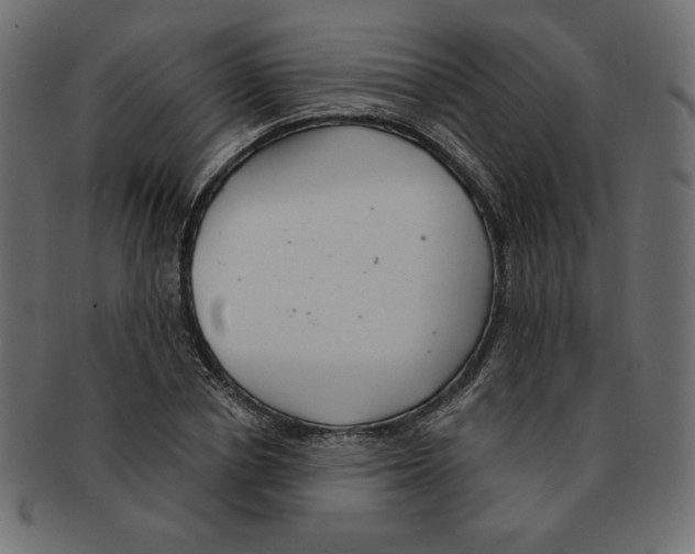 X0000091370834200709071324