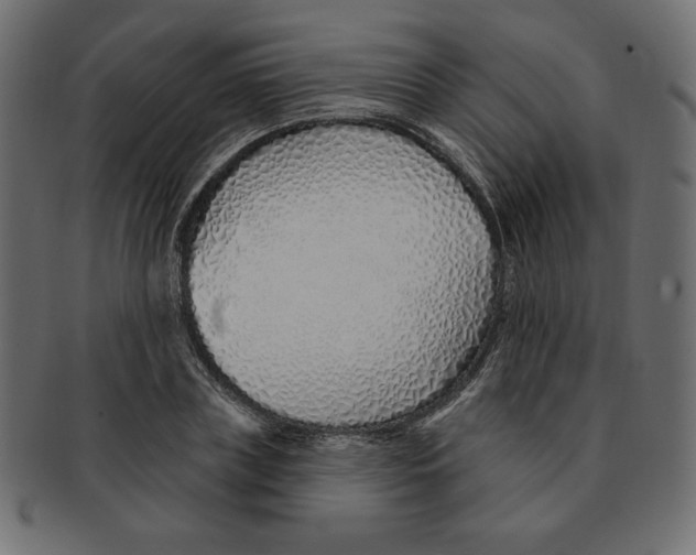 X0000091370835200709071324