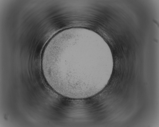 X0000091370836200709071324