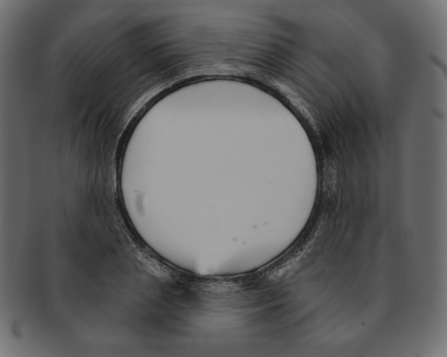 X0000091370837200709071324